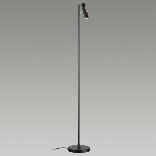Напольный светильник ODEON LIGHT 6643/5FL