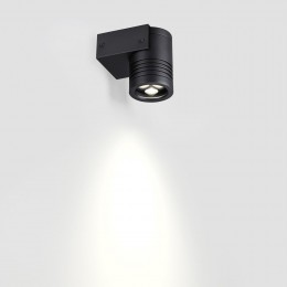 Фасадный светильник ODEON LIGHT 6648/6WL