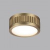 Потолочный ODEON LIGHT 7013/7CL