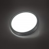 Настенно-потолочный светильник SONEX 7604/CL