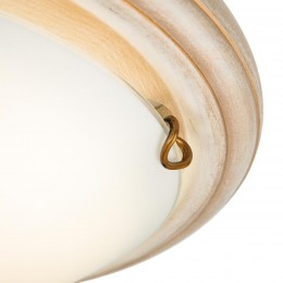 Настенно-потолочный светильник SONEX 7605/BL