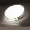 Настенно-потолочный светильник SONEX 7612/DL