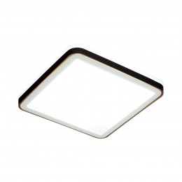 Настенно-потолочный светильник SONEX 7621/DL