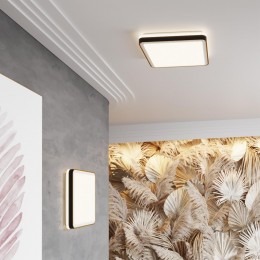 Настенно-потолочный светильник SONEX 7621/DL