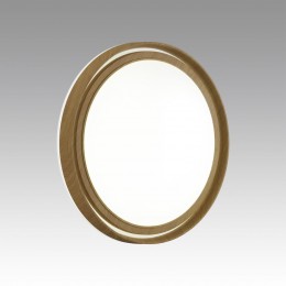 Настенно-потолочный светильник SONEX 7640/EL