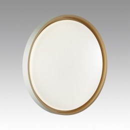 Настенно-потолочный светильник SONEX 7645/DL