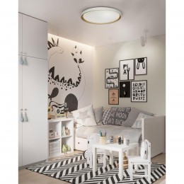 Настенно-потолочный светильник SONEX 7645/DL