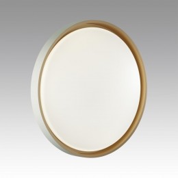 Настенно-потолочный светильник SONEX 7645/ELN