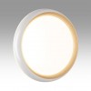Настенно-потолочный светильник SONEX 7650/DL