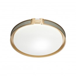 Настенно-потолочный светильник SONEX 7654/DL