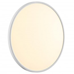 Настенно-потолочный светильник SONEX 7659/48L