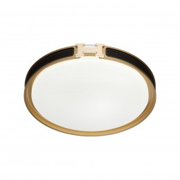 Настенно-потолочный светильник SONEX 7667/EL