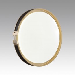 Настенно-потолочный светильник SONEX 7667/EL