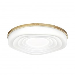 Настенно-потолочный светильник SONEX 7674/DL