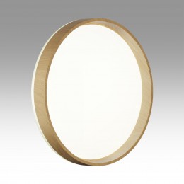 Настенно-потолочный светильник SONEX 7684/DLN