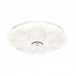 Настенно-потолочный светильник SONEX 7688/DL