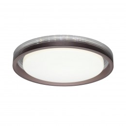 Настенно-потолочный светильник SONEX 7698/DL