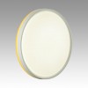 Настенно-потолочный светильник SONEX 7709/DL