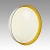 Настенно-потолочный светильник SONEX 7711/DL
