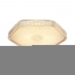 Потолочный светильник SONEX 7746/48L