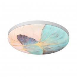 Настенно-потолочный светильник SONEX 7747/DL