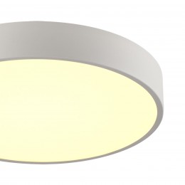 Потолочный светильник SONEX 7755/48L