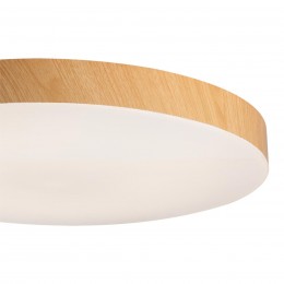 Потолочный светильник SONEX 7761/24L