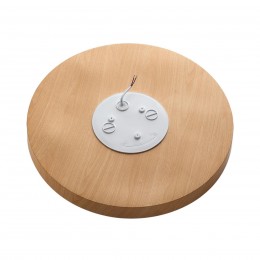 Потолочный светильник SONEX 7761/50L