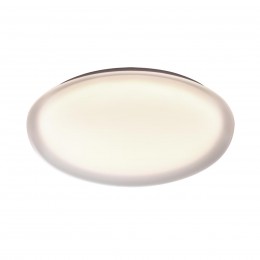 Настенно-потолочный светильник SONEX 7776/DLN