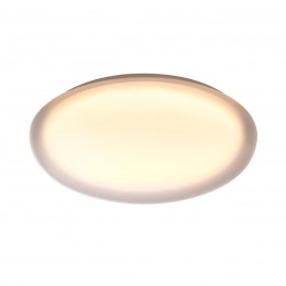 Настенно-потолочный светильник SONEX 7776/DLN