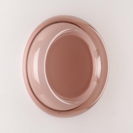 Настенно-потолочный светильник SONEX 7778/DLN