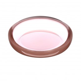 Настенно-потолочный светильник SONEX 7778/DLN