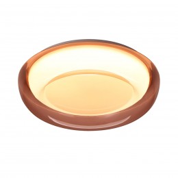 Настенно-потолочный светильник SONEX 7778/DLN