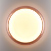 Настенно-потолочный светильник SONEX 7778/DLN