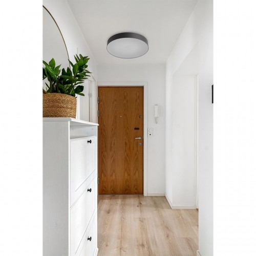 Настенно-потолочный светильник SONEX 7780/ELN