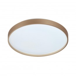 Настенно-потолочный светильник SONEX 7783/DL