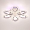 Потолочный светильник LUMION 8018/60CL
