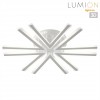 Потолочный светильник LUMION 8029/60CL