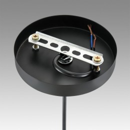 Светильник подвесной LUMION 8052/1A