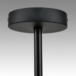 Люстра потолочная LUMION 8059/4C