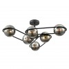 Люстра потолочная LUMION 8060/6C