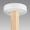 Люстра потолочная LUMION 8095/6C