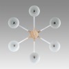 Люстра потолочная LUMION 8095/6C