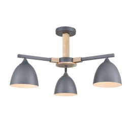 Люстра потолочная LUMION 8096/3C