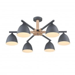 Люстра потолочная LUMION 8096/6C
