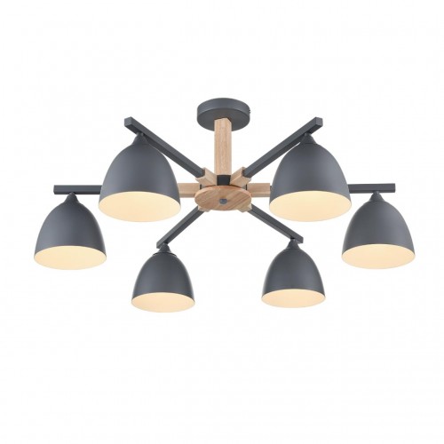 Люстра потолочная LUMION 8096/6C