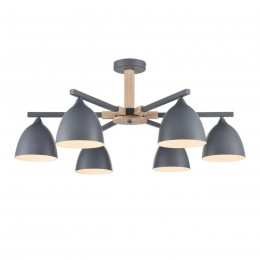 Люстра потолочная LUMION 8096/6C