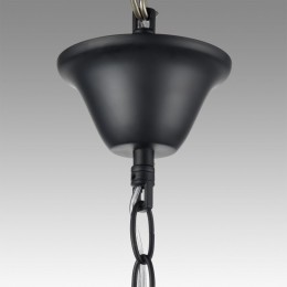 Люстра LUMION 8106/6