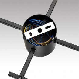 Люстра потолочная LUMION 8186/8C