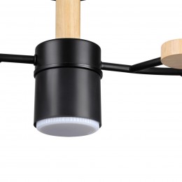 Потолочный светильник LUMION 8194/5C